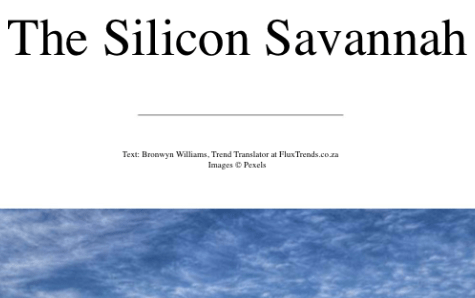 The Silicon Savannah - business trends - fintech